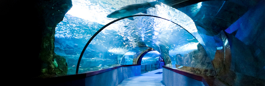 acuario Donostia