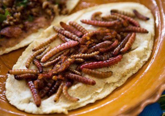 restaurante mexicano burgos